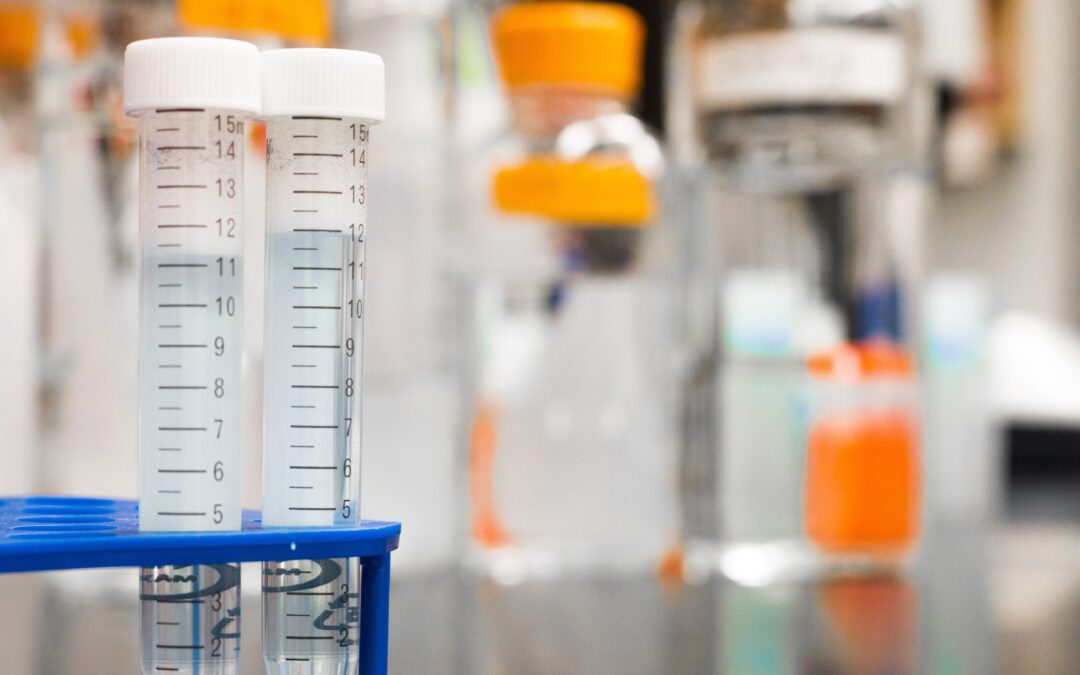 Evaluación de Durabilidad de Membranas Acústicas Proyectadas